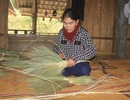 Quảng Trị: Người dân Vân Kiều đan chổi đót kiếm tiền sắm Tết