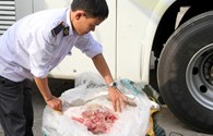 Quảng Trị: Phát hiện hơn nửa tấn thịt heo con đã chết trên xe ôtô khách